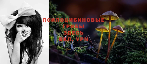 PSILOCYBIN Богородск